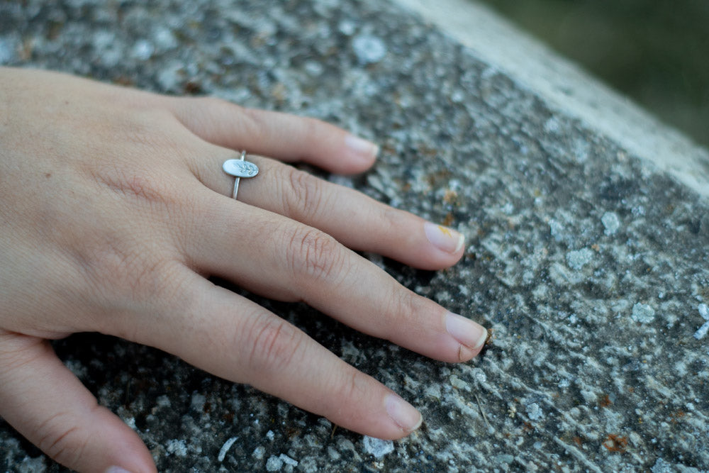 Anillo Ramita