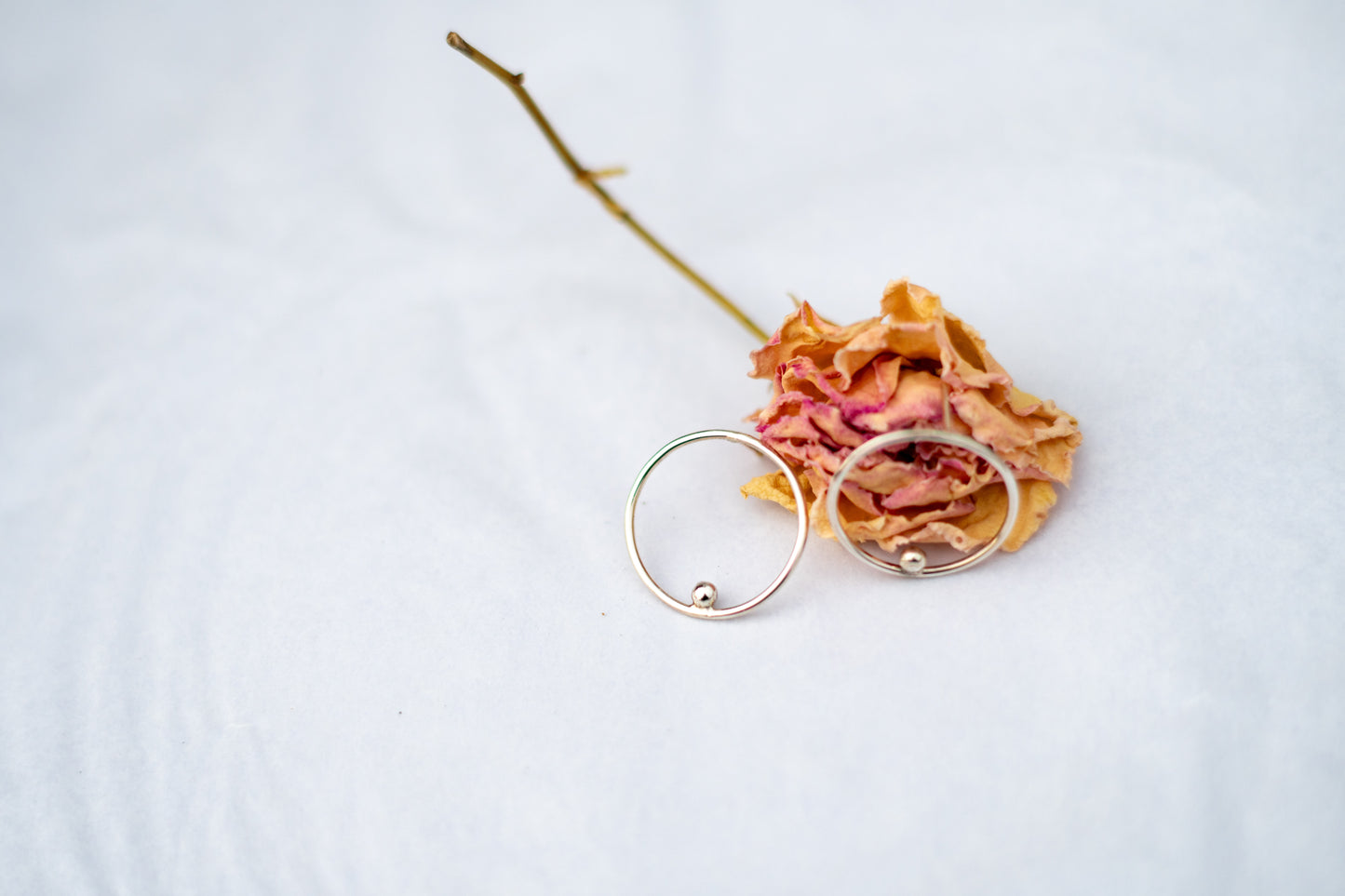 Pendientes Semilla
