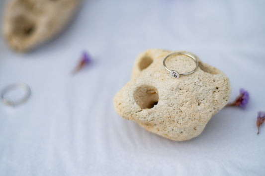Anillo Zodíaco Capricornio ♑️