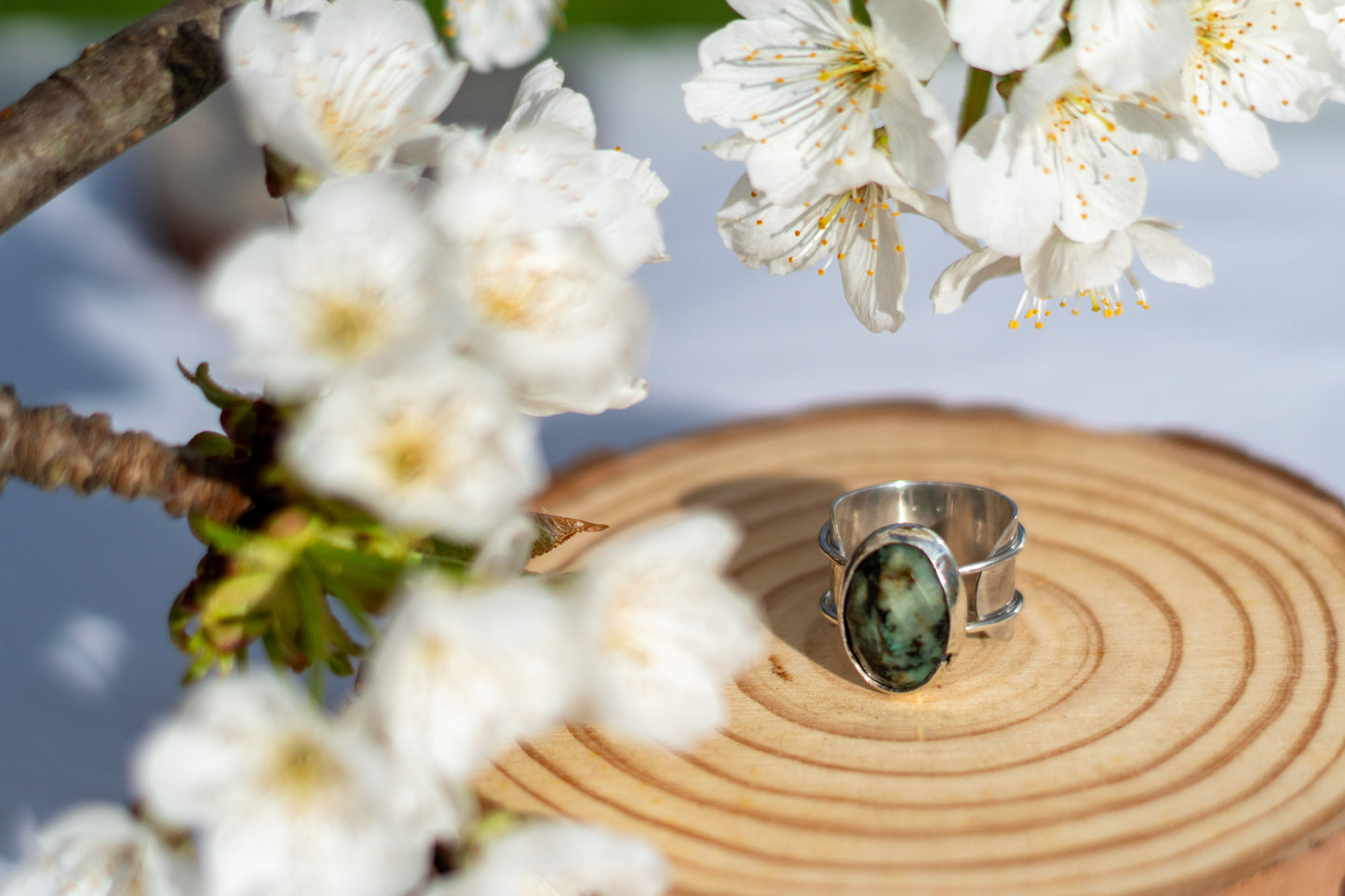 Anillo Grieta y Musgo con Agata Musgosa