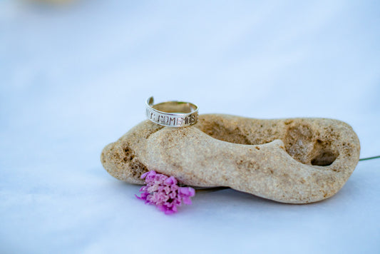 Anillo Nos Comemos El Coño