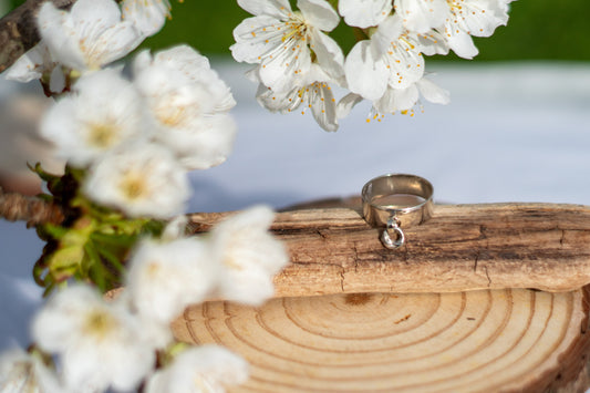 Anillo Aldaba Argolla